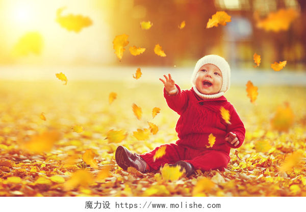 坐在秋天落叶上的婴儿快乐宝贝男孩扔出秋天的落叶和笑  